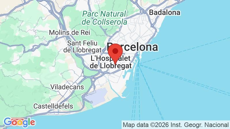 Imagen de Google Maps de la ubicación actual