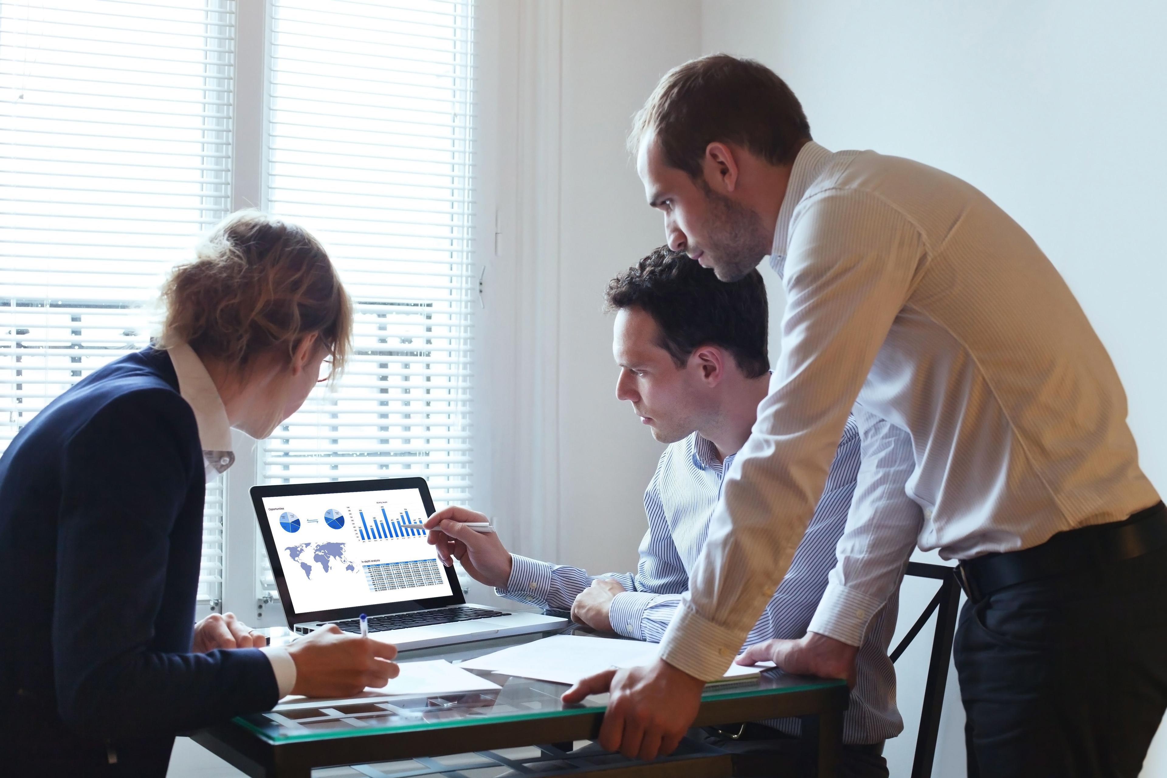 team looking in analytics