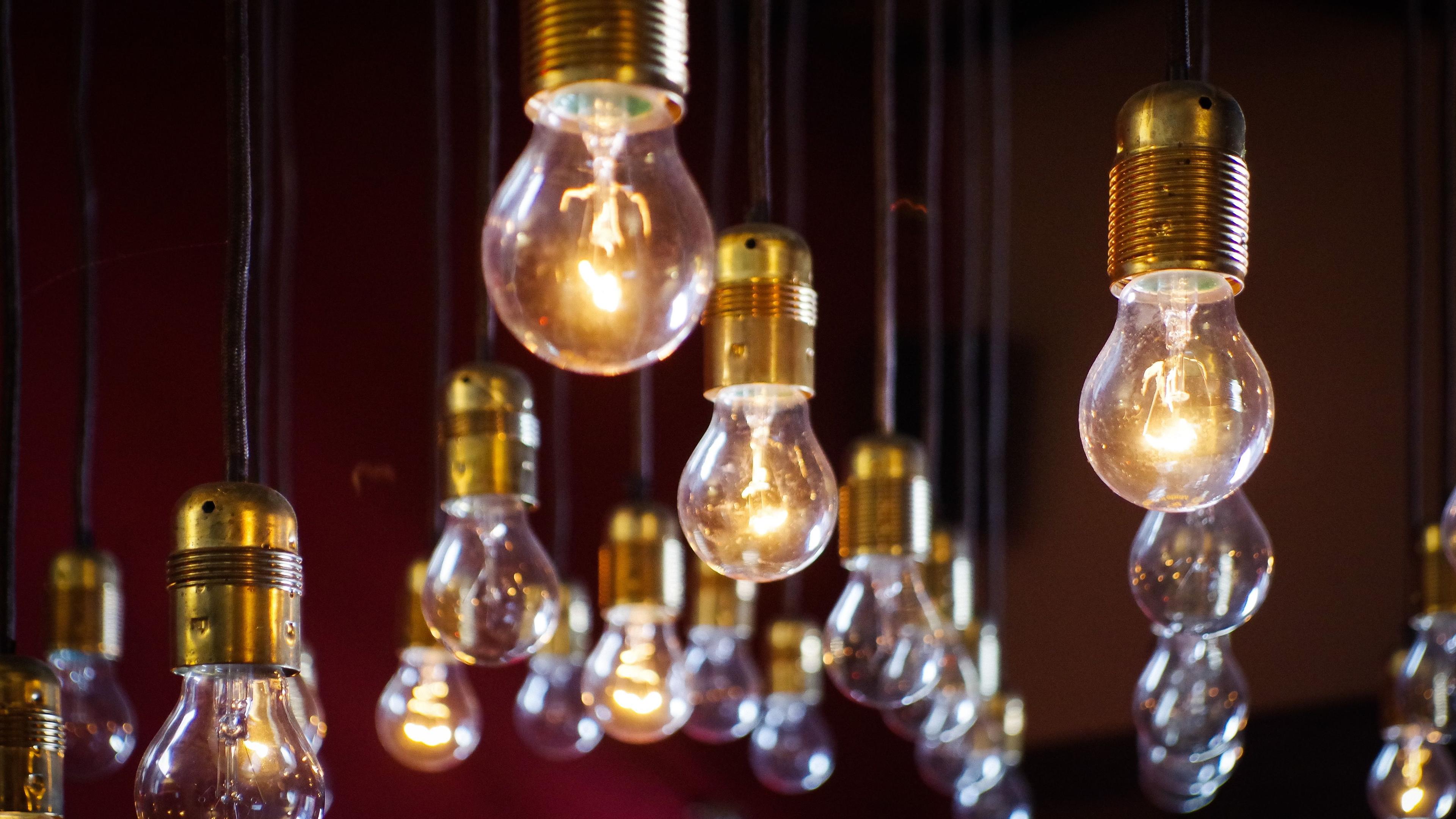 photo of lit light bulbs