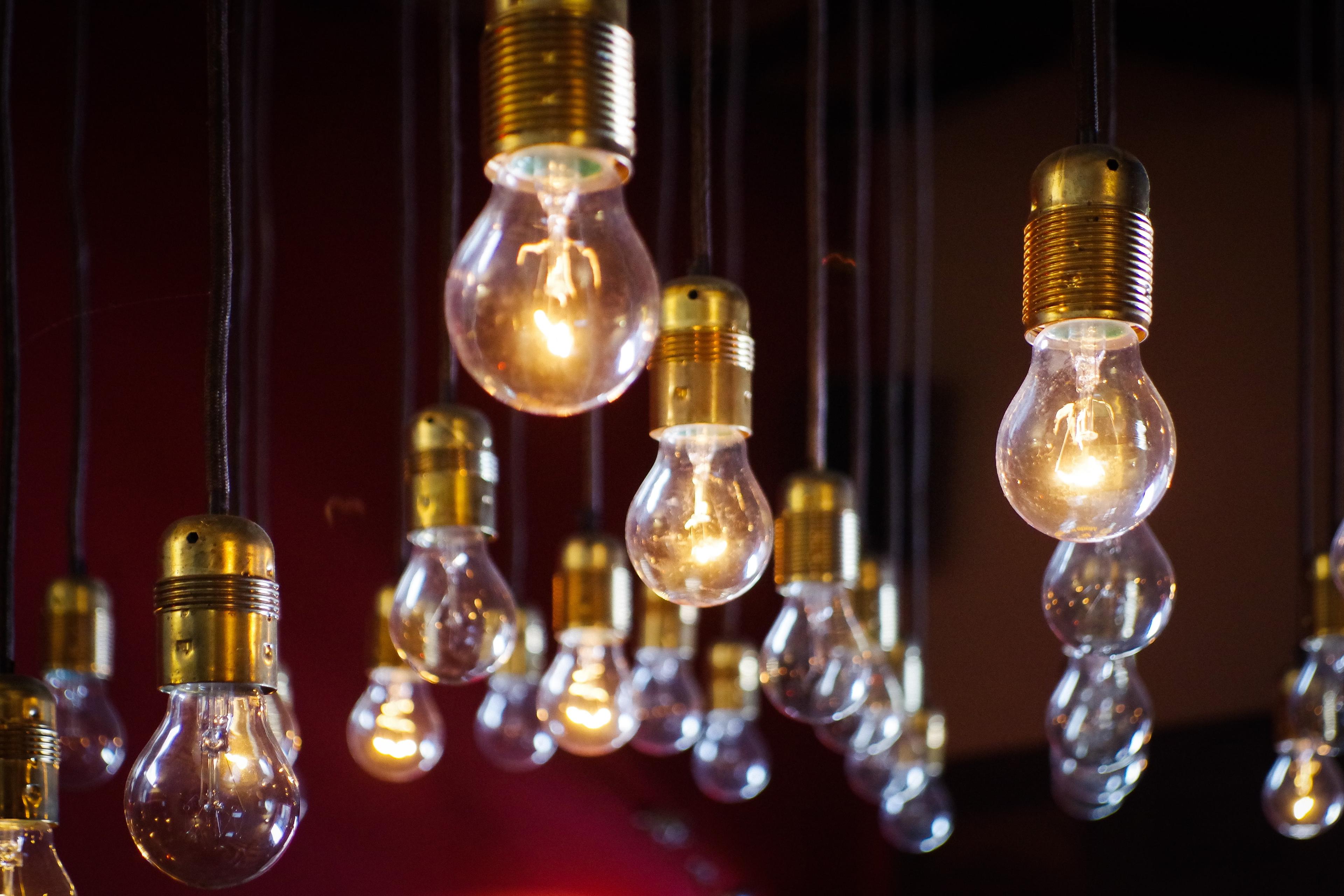 photo of lit light bulbs