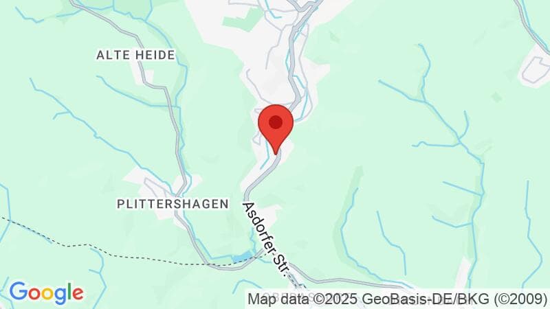 Google Maps Grafik des aktuellen Standortes